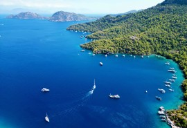 Le FSC® unit l'industrie du yachting pour une gestion plus durable des forêts