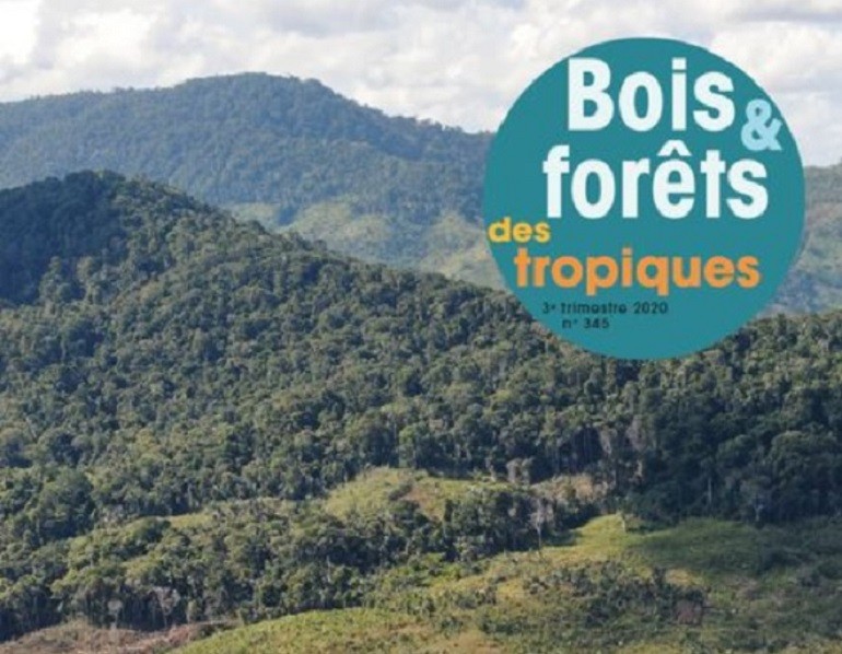 The Journal Bois Et Forets Des Tropiques Bft In Free Access Atibt