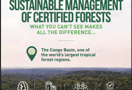 Une nouvelle brochure pour mieux comprendre la gestion durable des forêts du Bassin du Congo
