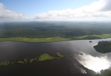 TotalEnergies and Compagnie des Bois du Gabon Join Forces to Develop a New Forest Management Model Combining Wood Production and Carbon Sinks