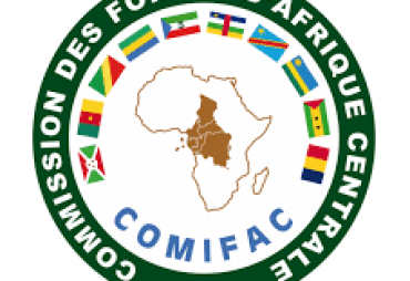 New publication: Study on voluntary carbon market forestry projects in the COMIFAC region