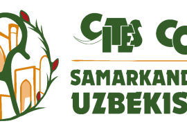 CoP20 de la CITES : à Samarcande, l’ATIBT porte la voix de la filière bois tropical avec les pays d’Afrique centrale