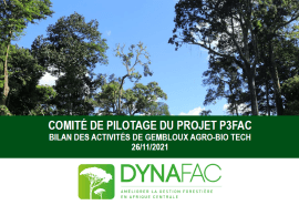 Le 5ème comité de pilotage du projet P3FAC s’est tenu le 25 novembre dernier, en visioconférence