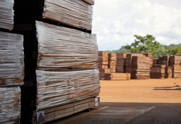 Republic of Congo and the timber industry: succeeding together in the future of forests