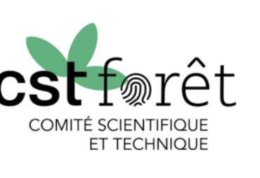 Comité Forêt thematic day on 8 July in Paris: tools for legal and deforestation-free supply chains