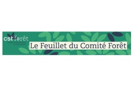 L’ATIBT relaye le « Feuillet du Comité Forêt » du CSTF de décembre 2020