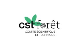 CST Forêt : démarrage de deux nouveaux chantiers