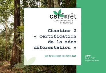 AFD’s CST for Forests, update on the "Zero Deforestation Certification" project