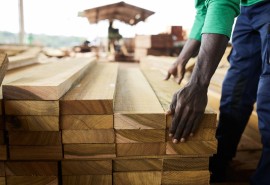 Métiers du secteur forêt-bois : peu connus, mais avec de nombreuses opportunités d’emplois - découvrez-les en images