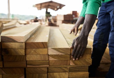 Métiers du secteur forêt-bois : peu connus, mais avec de nombreuses opportunités d’emplois - découvrez-les en images