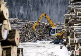 Conflit en Ukraine et sanctions contre la Russie : les conséquences sur le marché du bois