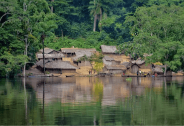 According to an article in the Carbon Herald by Theodora Stankova, six countries in the Congo Basin are publishing their carbon market roadmaps in order to “monetize” forest climate services.