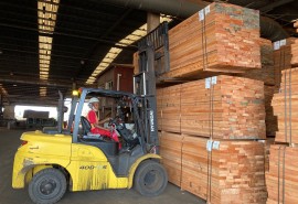 Focus sur des métiers du secteur forêt-bois. Trop peu connus, ils offrent de nombreuses opportunités d’emplois : la preuve en images