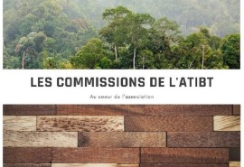 End 2022 session of the ATIBT Wood Materials & Standardization Commission
