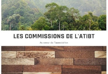 Session de fin d’année 2022 de la Commission Matériaux bois & Normalisation de l’ATIBT