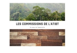 ATIBT : 1ère réunion de la nouvelle commission « agroforesterie et plantations »