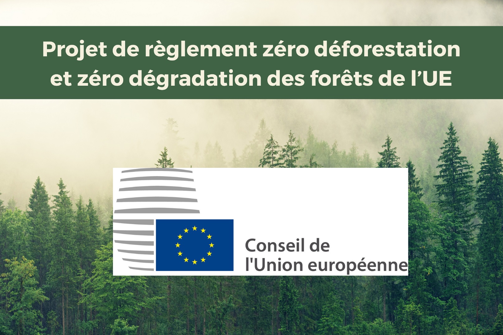 EU Regulation on deforestation: general approach adopted by EU Council ...