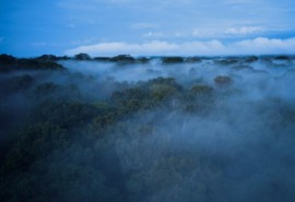 Access easily to all ATIBT digital tools and resources.