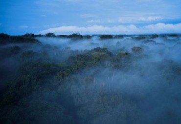 Accédez facilement aux outils digitaux et ressources sur le site de l’ATIBT 