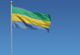 Importation de bois du Gabon et RBUE, soyons attentifs