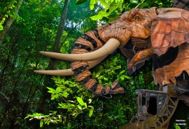 The ATIBT will hold its Forum and celebrate its 70th anniversary from May 31 to June 3, 2022. Save the date!