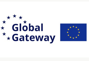 EU funding for the forest-wood sector: focus on the Congo Basin and the Selva Maya