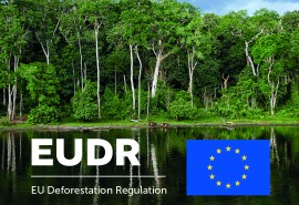 EUDR 2026: what companies actually need to prepare for