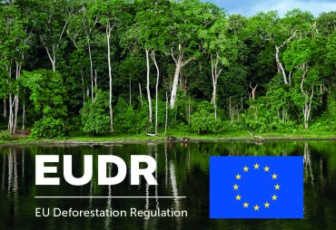 EUDR 2026: what companies actually need to prepare for