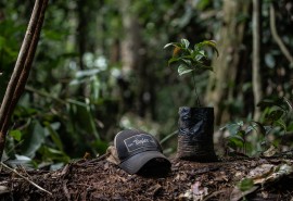 The Ebony Project: A Bold Community-Driven Initiative for Forest Restoration