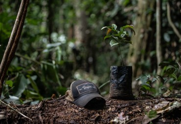 Le Projet Ebony : Une initiative communautaire engagée pour la restauration forestière au Cameroun