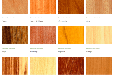 Découvrez une palette de 60 essences de bois tropical sur le site de Fair&Precious