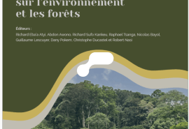 L'État des Forêts du Bassin du Congo 2025 est paru : un éclairage sur la mise en œuvre des conventions et accords internationaux