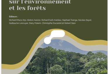 L'État des Forêts du Bassin du Congo 2025 est paru : un éclairage sur la mise en œuvre des conventions et accords internationaux