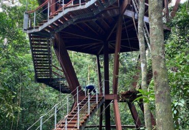 Au Gabon, une salle de classe construite en padouk dans les arbres !