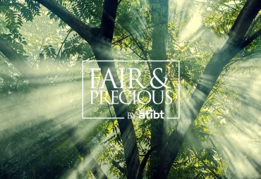 Publication d’un argumentaire scientifique en appui des 10 engagements de Fair&Precious