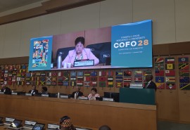 Semaine mondiale des forêts à Rome : l’ATIBT participe aux échanges sur la restauration et la bioéconomie forestière 