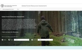 La plateforme FAO sur l’évaluation des ressources forestières mondiales disponible en français 