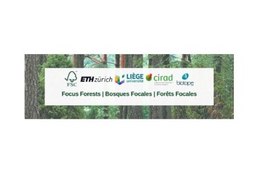 Le FSC propose très prochainement deux webinars sur les Paysages Forestiers Intacts