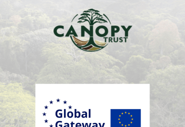 Nouvelles opportunités de financement pour les projets forestiers et bois tropicaux