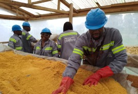 ADEFAC Empowers Communities Through Biochar Training in Ebolowa