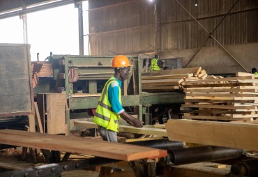 Approvisionnement en bois du Ghana : partagez vos attentes