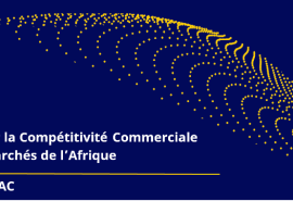 Le programme ATCMA lance une campagne régionale visant à recenser les entreprises des filières du bois, du cacao et du manioc