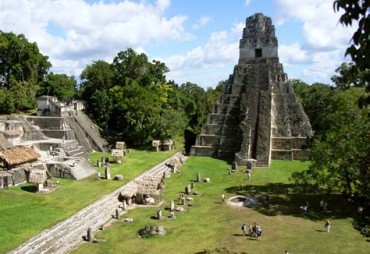 Guatemala : une avancée majeure sur les marchés internationaux du carbone forestier
