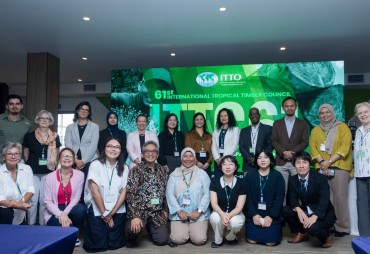Meeting and Adoption of the Trade Advisory Group’s (TAG) Statement to the ITTO Council