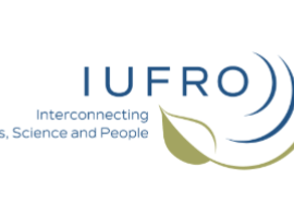 Publications IUFRO sur le potentiel du bois durable : enjeux pour les marchés européens et le bois tropical