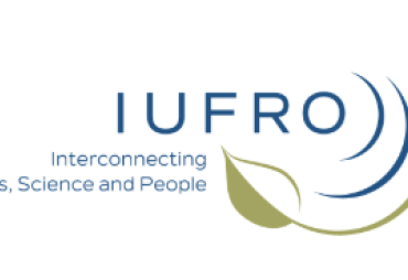 IUFRO publications on sustainable wood potential: challenges for European markets and tropical wood