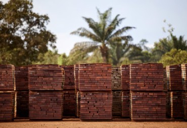 Gaining a better understanding of the Chinese market to promote certified tropical timber