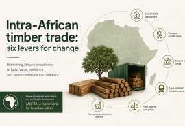 Intra-African timber trade: six levers for change