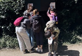 Nuits des Forêts 2026: ATIBT works to raise public awareness of tropical forests