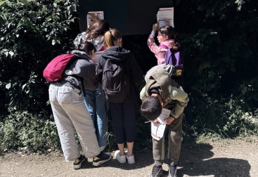 Nuits des Forêts 2026: ATIBT works to raise public awareness of tropical forests